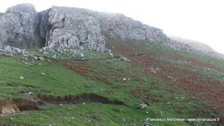 nte Scuderi-23-11-2014 09-49-03